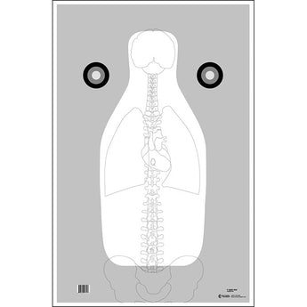 White; Action Target - FBI Vital Anatomy  (23" x 35") - HCC Tactical