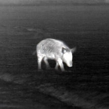 ATN - BlazeTrek - v2 - HCC Tactical