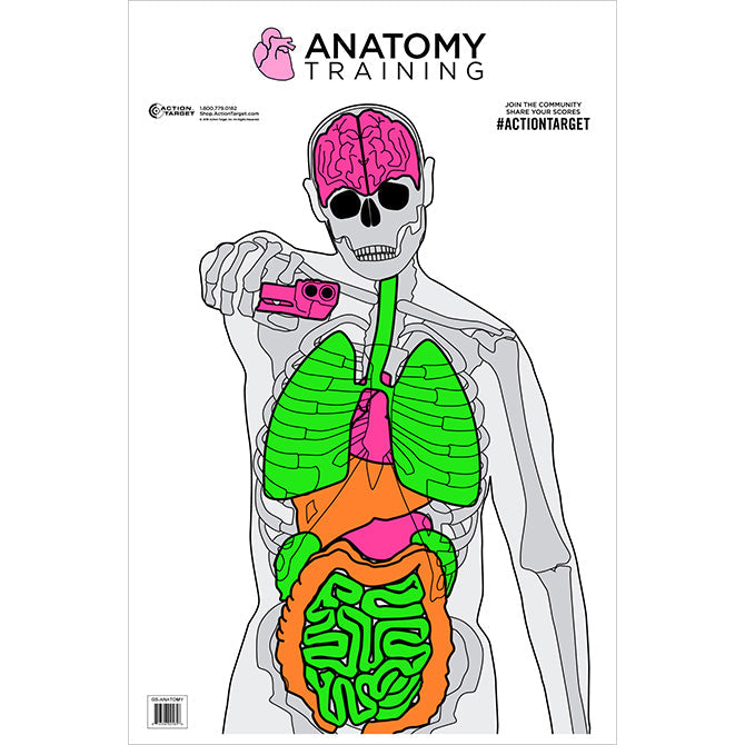 Multi Color; Action Target - Anatomy (23"x35") - HCC Tactical
