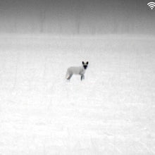 ATN - BlazeSeeker - v4 - HCC Tactical