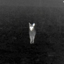 ATN - BlazeSeeker - v3 - HCC Tactical