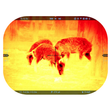 ATN - THOR 5 XD - v2 - HCC Tactical