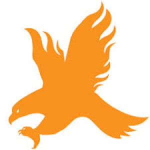 Blaze Defense Systems