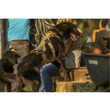 Eagle Industries Canine Adjustable Harness Lifestyle 2 - HCC Tactical