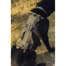 Eagle Industries Canine Adjustable Harness Lifestyle 3 - HCC Tactical